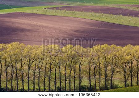 South Moravian Fields, Czech Republic Fields, Moravia Hills