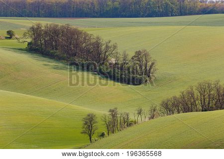 South Moravian Fields, Czech Republic Fields, Moravia Hills