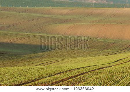 South Moravian Fields, Czech Republic Fields, Moravia Hills