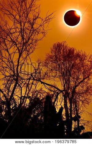 Amazing Scientific Natural Phenomenon. Total Solar Eclipse Glowing On Sky.