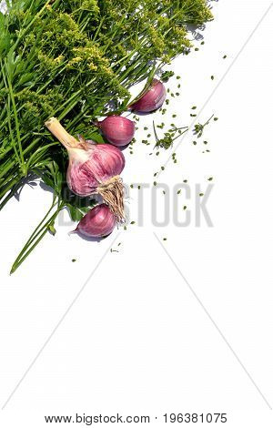 Garlic and greens on a white background