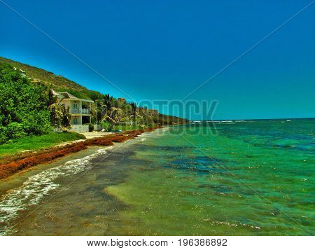 View of Turtle Beach with orange seaweed