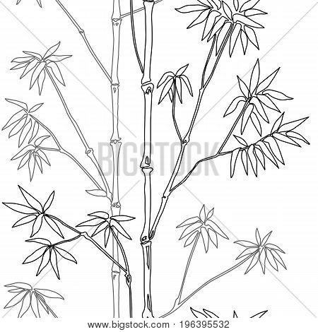 Bamboo seamless pattern on white background. Tropical outline wallpaper, nature textile print, template with text place, coloring page.