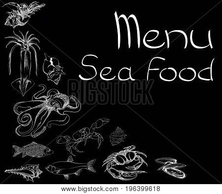 Hand drawn Seafood set. Octopus, fish, oysters, crab, shellfish and mussels. Vector illustration in old ink style.