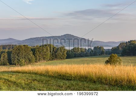 Summer landscape in fog Sumava Czech Republic. Morning fog in Sumava south Bohemia landscape