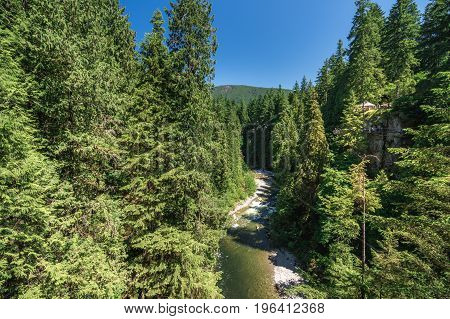 Capilano River On Sunny Day In Vancouver