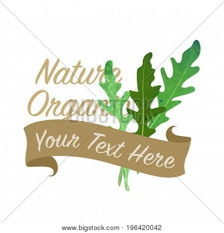 Colorful Watercolor Texture Vector Nature Organic Vegetable Banner Arugula Ruccola Leaf