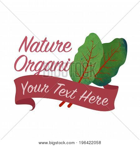 Colorful Watercolor Texture Vector Nature Organic Vegetable Banner Mangold Swiss Chard Leaf