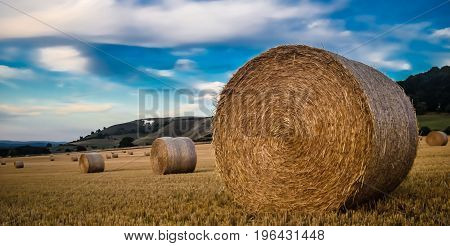 Panoramic color picture,symbol of Westbury.England in Wiltshire