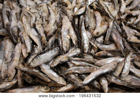 Frozen fish in supermarket