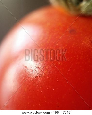 macro close up of red tomato green