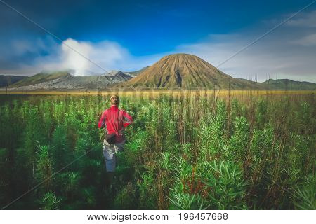 Female tourist walking through the high grass towards the craters of Gunung Bromo and Sumeru volcanoes in Java, Indonesia