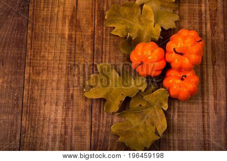 A Close Up Of Several Small Pumpkins Lined Up In A Row On Rustic Old Wooden Boards Against Medium Br