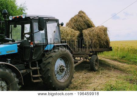 Tractor driven fresh hay on special agricultural trailer in the background of the picturesque landscape.