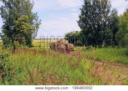 Tractor driven fresh hay on special agricultural trailer in the background of the picturesque landscape.