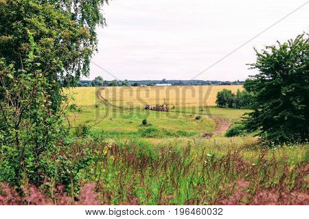Tractor driven fresh hay on special agricultural trailer in the background of the picturesque landscape.