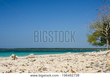 Beautiful white beach of Baru island Cartagena Colombia