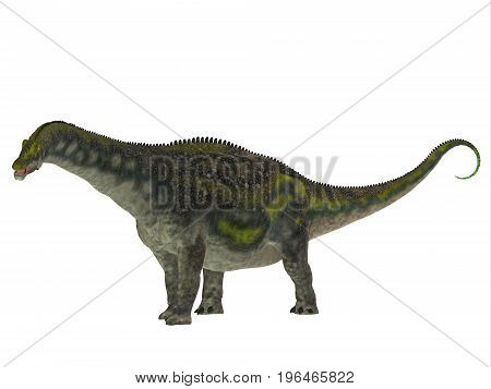 Diamantinasaurus Dinosaur Side Profile 3d illustration - Diamantinasaurus was a herbivorous sauropod dinosaur that lived in Australia during the Cretaceous Period.