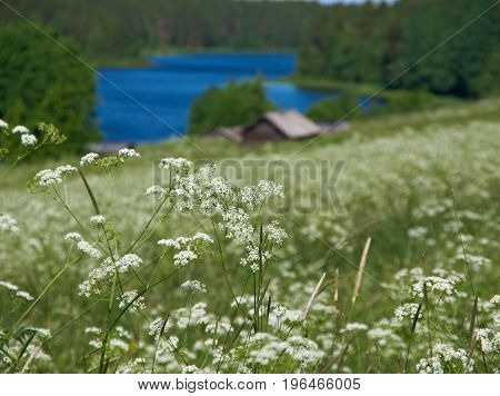North Russian Village