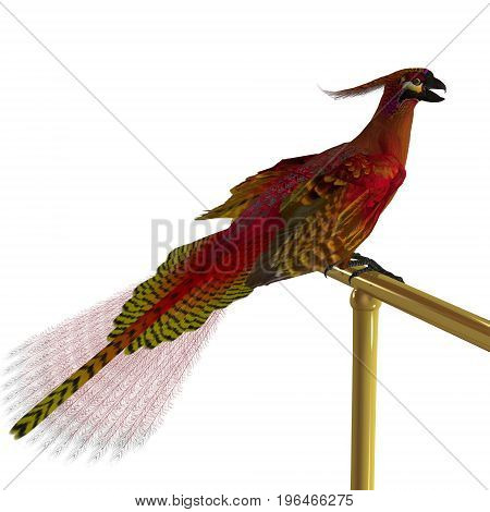 Phoenix Bird on Perch 3d illustration - The Phoenix is a bird in Greek mythology that is long-lived and is reborn or regenerated over and over again.