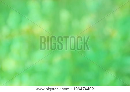 Natural Outdoors Bokeh Green Background