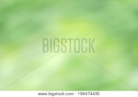 Natural Outdoors Bokeh Green Background