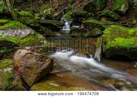 Powerful Creak With Cascade In Green Forest