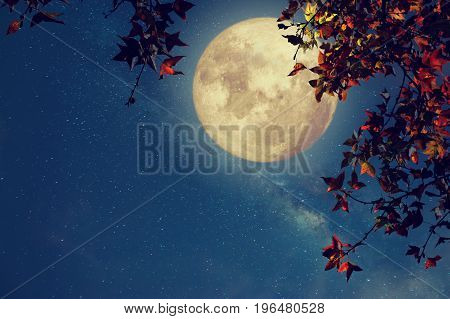 Beautiful autumn fantasy - maple tree in fall season and full moon with milky way star in night skies background. Retro style artwork with vintage color tone