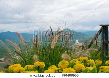 View nature mountain sky and fog phu tubberk thailand