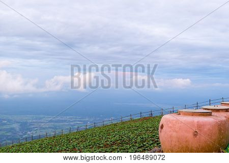View nature mountain sky and fog phu tubberk thailand