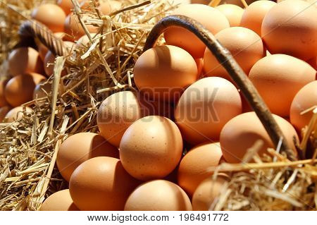 Fresh chicken eggs in a basket in the grocery market