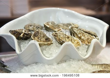 Oysters with ice on a plate. Selective focus