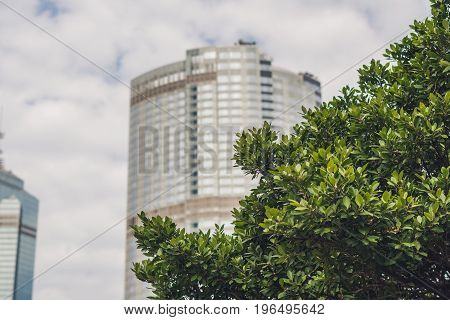 Toned Image Of Modern Office Buildings In Central Hong Kong