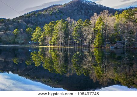 Tree line mirroring in the lake on cold winter day