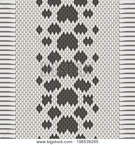 Vector seamless texture of snake skin, monochrome background