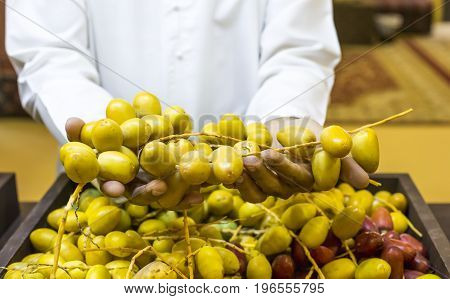 hands holding new season dates a Liwa date festival in UAE