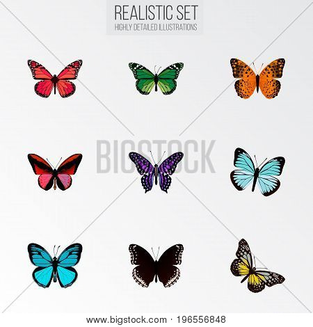 Realistic Callicore Cynosura, Danaus Plexippus, Summer Insect And Other Vector Elements