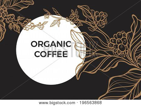 Coffee branch with leaves and natural coffee beans. Retro vintage style. Night moon garden. Copy space. Vector Illustration eps.10