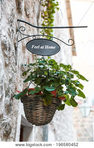 Flowers hanging basket against a old wall building
