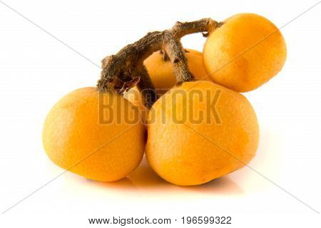 Ripe loquat or Eriobotrya japonica with leaf isolated on white background.