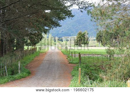 Beautiful day at a farm in New Zealand's northeast
