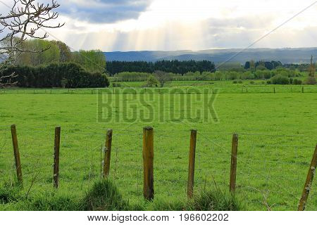 Beautiful day at a farm in New Zealand's northeast