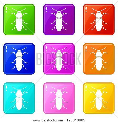 Cereal leaf beetle icons of 9 color set isolated vector illustration