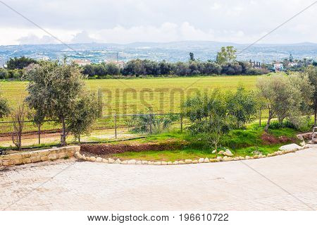 Outdoor countryside meadow grass nature. Rural field landscape
