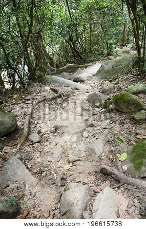 nature walkway in Khao Chamao , Rayong , Thailand