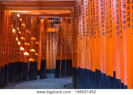 KYOTO JAPAN - AUGUST 4 2015 : Thousand of torii gates (Senbon Torii) at Fushimi Inari Taisha Shrine. A famous historic site and tourist destination in Kyoto Japan.