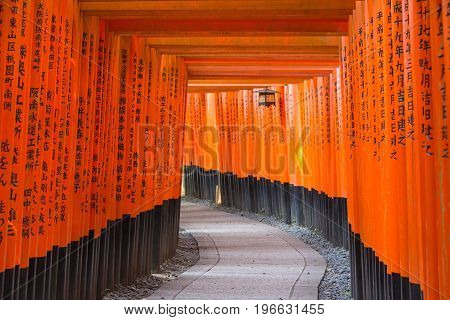 KYOTO JAPAN - AUGUST 4 2015 : Thousand of torii gates (Senbon Torii) at Fushimi Inari Taisha Shrine. A famous historic site and tourist destination in Kyoto Japan.