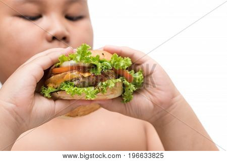 Pork Hamburger On Obese Fat Boy Hand Background Isolated