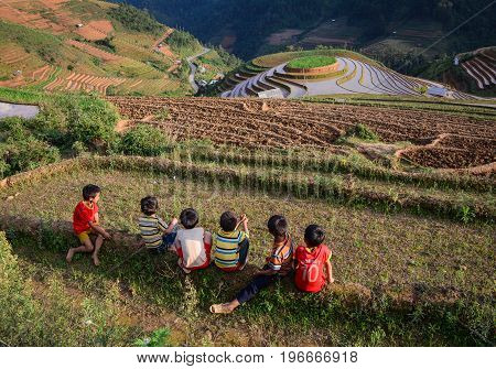 Children Playing On Rice Field In North Of Vietnam