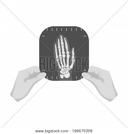 X-ray picture of the hand of a person in the hands of a radiologist. Medicine single icon in monochrome style vector symbol stock illustration .